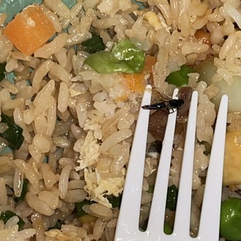 China One - food is good but i found a bug in my food & my mom found a hair in hers (i don't have a picture of the hair) - Chinese Near Me - Fontana, California China One - food is good but i found a bug in my food & my mom found a hair in hers (i don't have a picture of the hair) - Chinese Near Me - Fontana, California