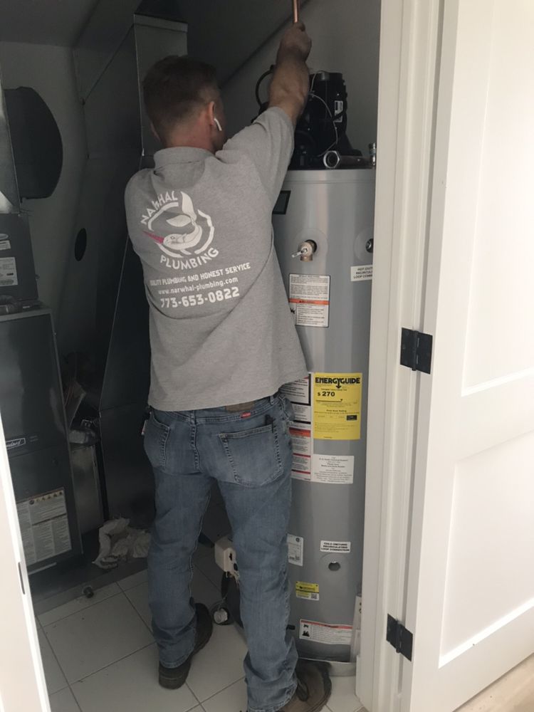 Slide of Narwhal Plumbing