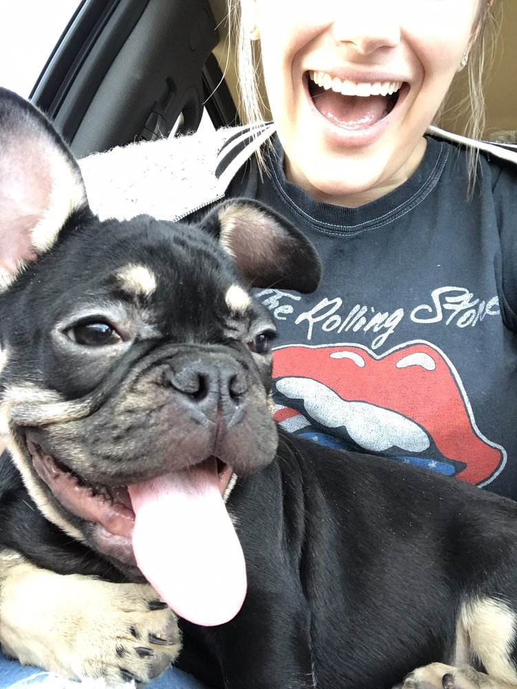 MY PET MARKET 33 Photos & 55 Reviews Pet Stores 4719 N 20th St