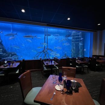 RumFish Grill and Sports Bar - Seafood Near Me - St Pete Beach, Florida