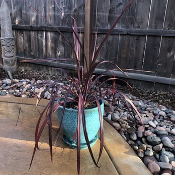 Planter Paradise - Teal pot - Nurseries & Gardening Near Me - El Cajon, California Planter Paradise - Teal pot - Nurseries & Gardening Near Me - El Cajon, California
