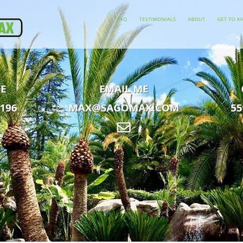 Sago Max - a palm tree in a tropical garden - Landscaping Near Me Sago Max - a palm tree in a tropical garden - Landscaping Near Me