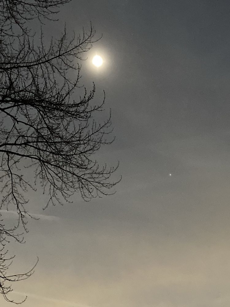 Tree Gods Tree Service - tree service in Cleveland, OH