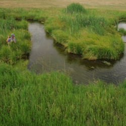 Five Rivers Lodge - Beaverhead River - Heaven on Earth