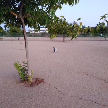 Torrey Pines Park - Kokoh playing - Dog Parks Near Me - Murrieta, California Torrey Pines Park - Kokoh playing - Dog Parks Near Me - Murrieta, California