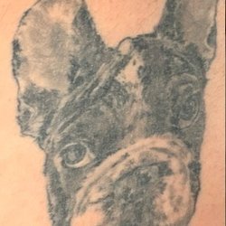 Perfect Image - Tattoo from Perfect Image