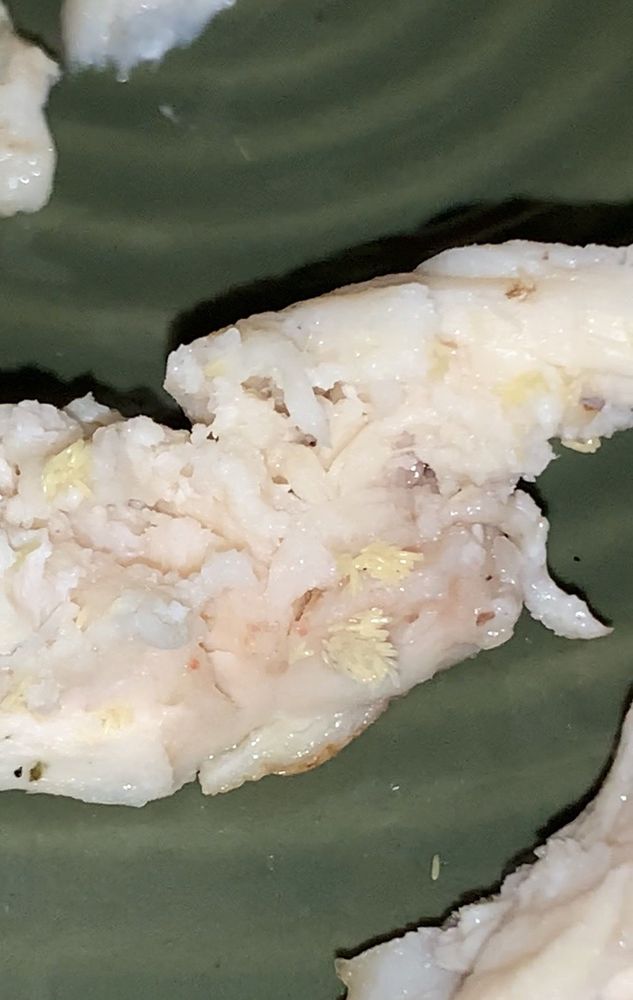 CORNER BAKERY CAFE Updated May 2024 64 Photos & 87 Reviews 19355