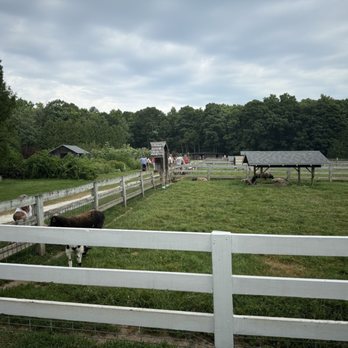 The Farm - Farms Near Me - Sturgeon Bay, Wisconsin The Farm - Farms Near Me - Sturgeon Bay, Wisconsin
