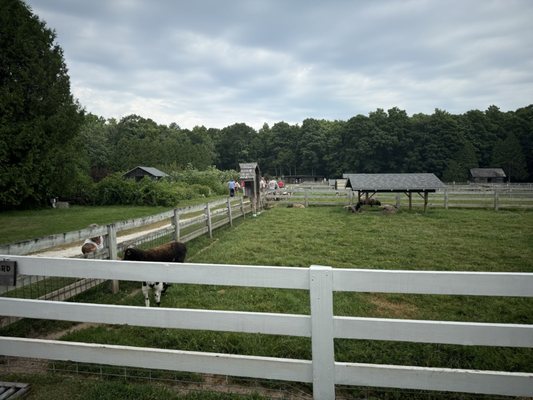 The Farm by null