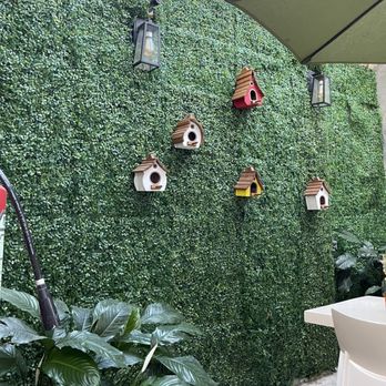 Coco's Kitchen - Wonderful inner courtyard. - Breakfast & Brunch Near Me - Puerto Vallarta, JAL Coco's Kitchen - Wonderful inner courtyard. - Breakfast & Brunch Near Me - Puerto Vallarta, JAL