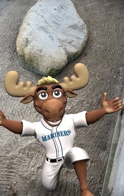 Plymouth Rock by null