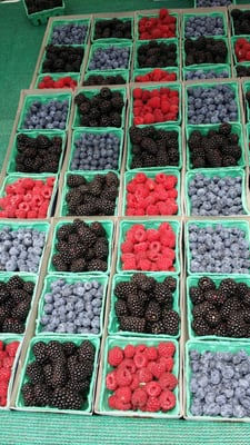 Pershing Square Farmers Market by null