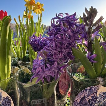 Trader Joe's - Love these - Grocery Near Me - San Jose, California Trader Joe's - Love these - Grocery Near Me - San Jose, California