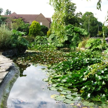 The Rookery Rock Garden - Parks Near Me - Brighton, BNH