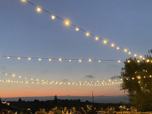 Leal Vineyards and Winery by null