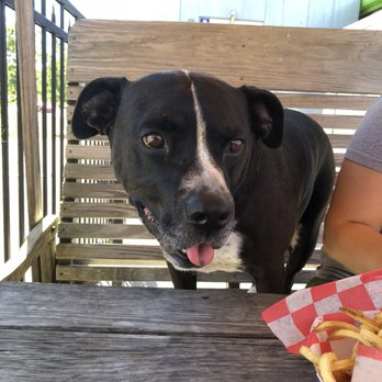 Taffy's Hot Dog Stand - Dog Friendly!! - Hot Dogs Near Me - Orchard Park, New York