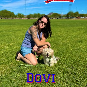 All-American K-9 Dog Training - Pet Training Near Me All-American K-9 Dog Training - Pet Training Near Me