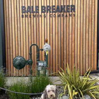 The Bale Breaker & Yonder Taproom - a dog sitting on a bench - Cideries Near Me - Seattle, Washington The Bale Breaker & Yonder Taproom - a dog sitting on a bench - Cideries Near Me - Seattle, Washington