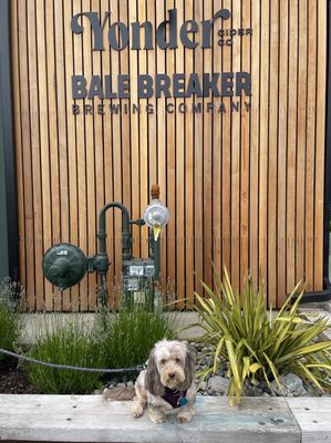 Bale Breaker & Yonder Cider Taproom by null