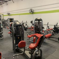 B Fitness World