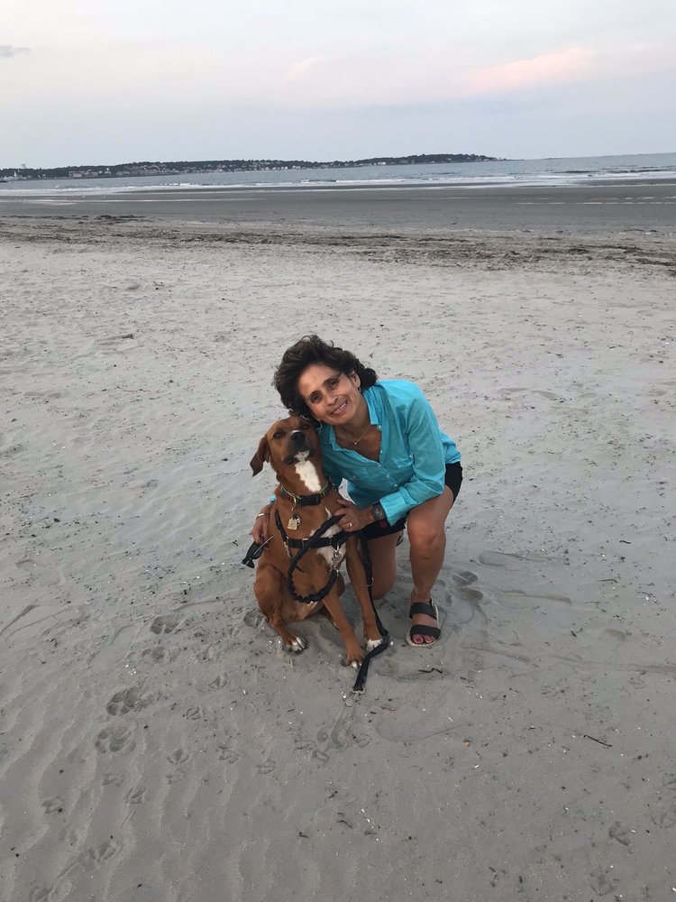 MARTHA’S VINEYARD BIKE RENTALS Updated July 2024 10 Photos & 19