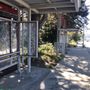 Photo of RapidRide E Line
