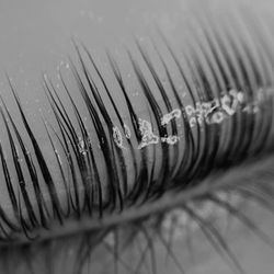 Lash.Brow.Artistry by JC