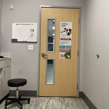 BluePearl Pet Hospital - Inside the exam room - Veterinarians Near Me - Reno, Nevada BluePearl Pet Hospital - Inside the exam room - Veterinarians Near Me - Reno, Nevada