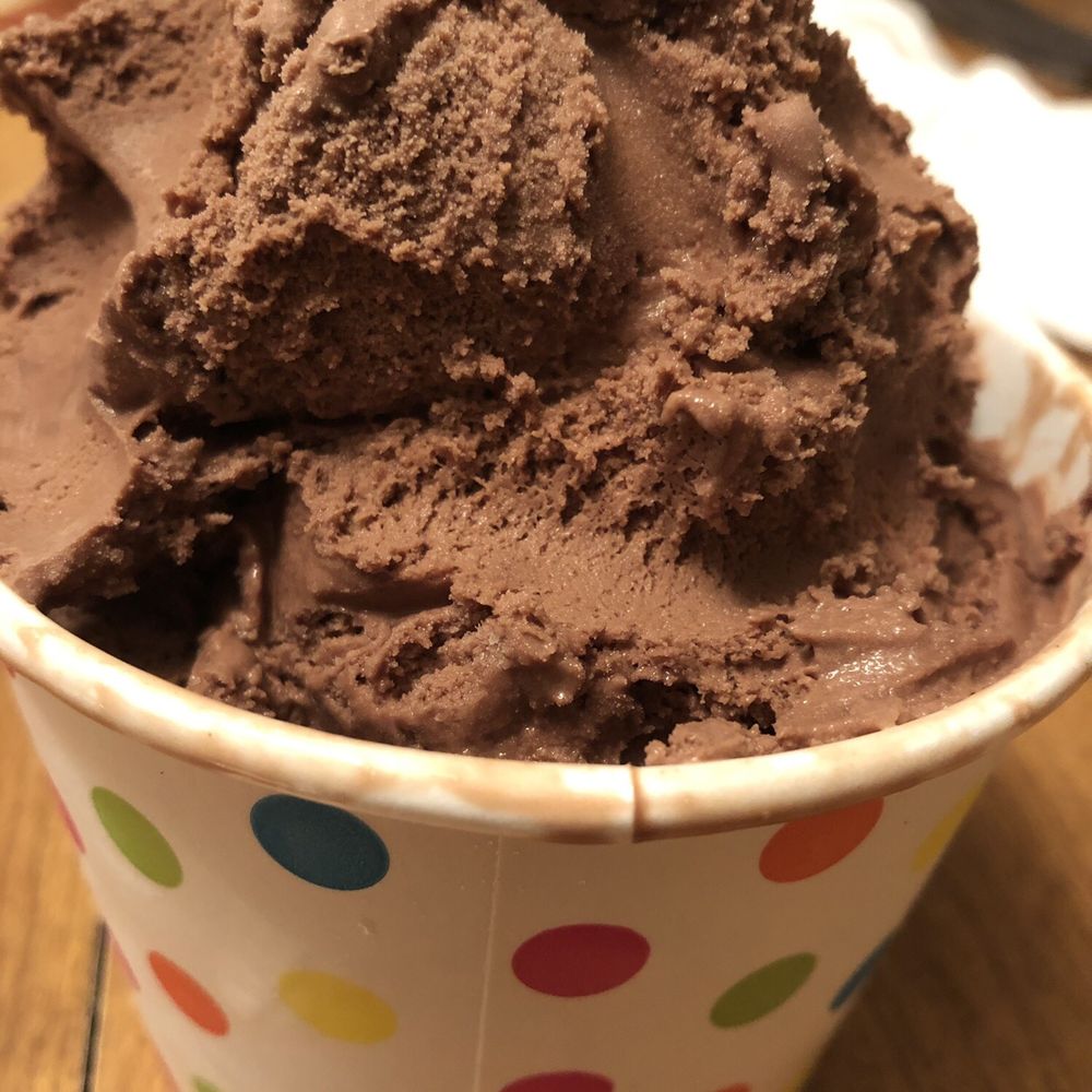 a bowl of chocolate ice cream a bowl of chocolate ice cream