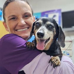 Long Beach Parkview Veterinary Clinic Ramona Animal Hospital