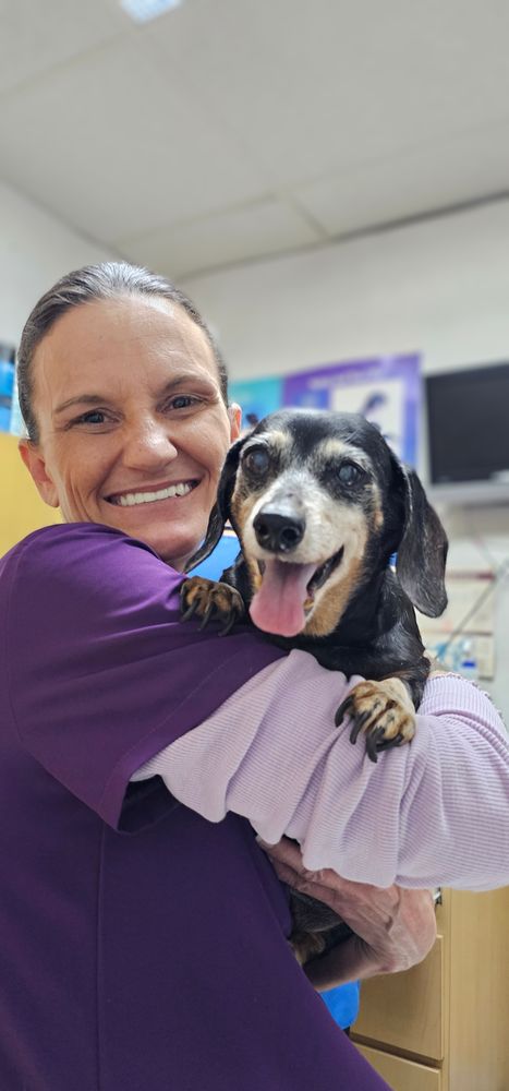 Northdale Animal Hospital - pet boarding facility in Tampa, FL