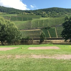Campingplatz Trittenheim - Blick in die Weinberge