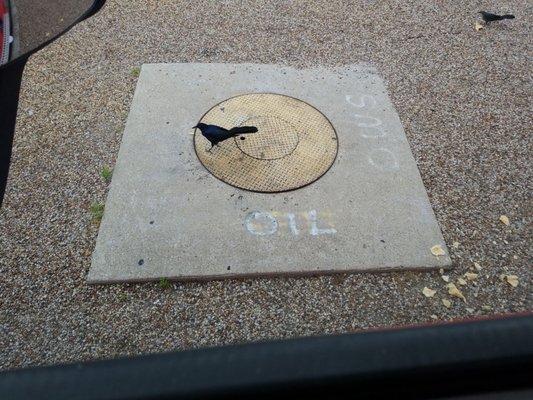 Pilot Travel Center by null