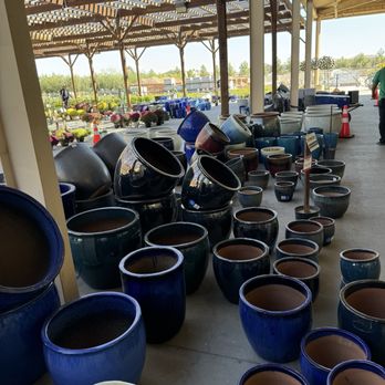 Star Nursery - Nurseries & Gardening Near Me - North Las Vegas, Nevada Star Nursery - Nurseries & Gardening Near Me - North Las Vegas, Nevada