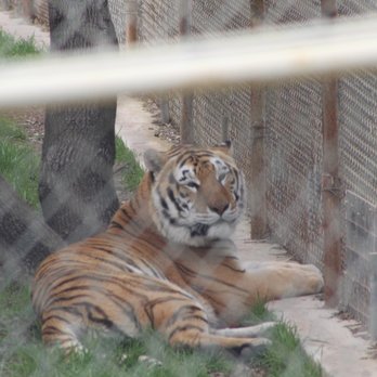 PAWS - Animal Shelters Near Me - San Andreas, California