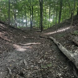 Ellison Park - Looking down. Pic doesn't do justice for elevation