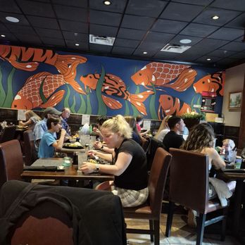 Umami Sushi - Sushi Bars Near Me - Lutz, Florida