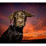 Photo of Photography by Gabriela