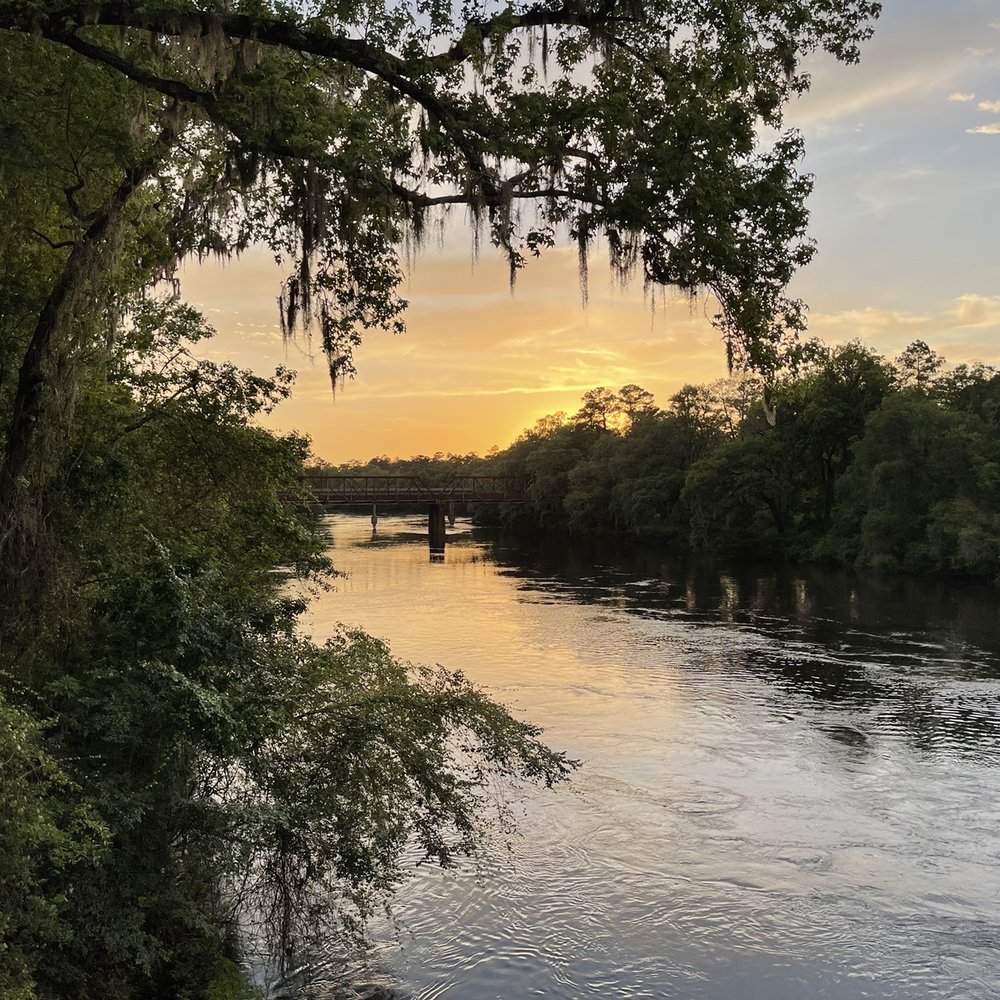Suwannee River State Park - Railroad bridge at sunset - Parks Near Me - Live Oak, Florida Suwannee River State Park - Railroad bridge at sunset - Parks Near Me - Live Oak, Florida