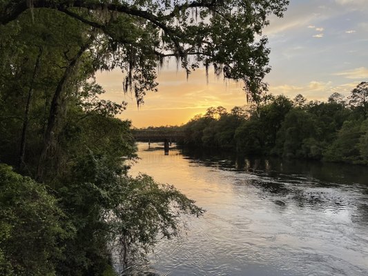 Suwannee River State Park by null