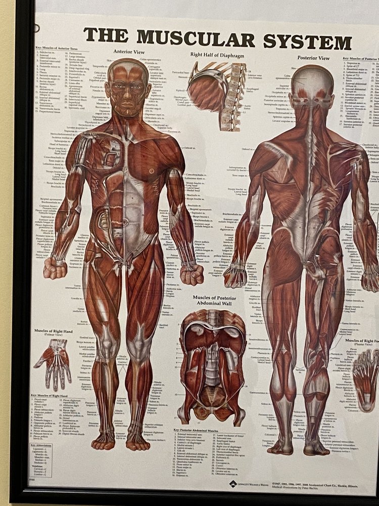 CORNERSTONE PHYSICAL THERAPYGAHANNA/NEW ALBANY Updated October 2024