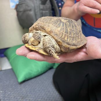 McLeod KinderCare - Class pet - Child Care & Day Care Near Me - Albuquerque, New Mexico