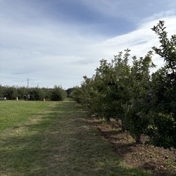 Blue Jay Orchards