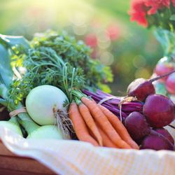 Kate Berger Registered Dietitian
