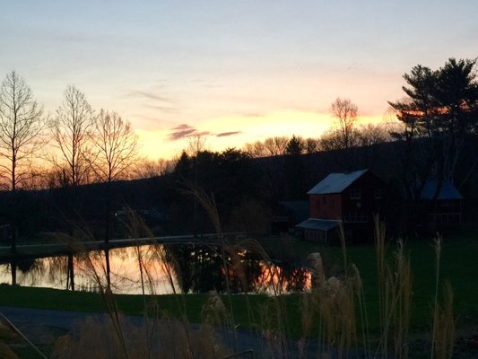 Early Bird Farm by null