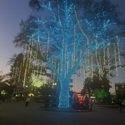 Downtown City Park