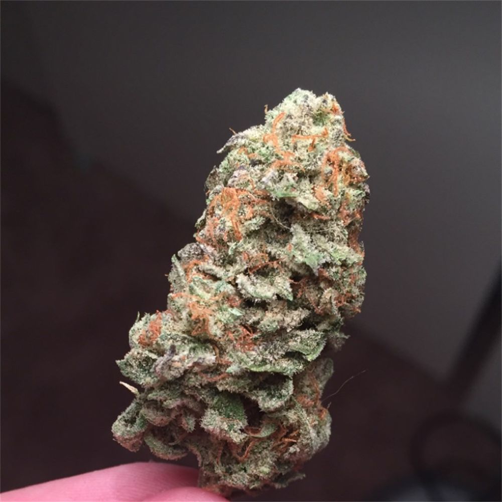 BIG BEAR DISPENSARY Updated July 2024 26 Photos & 10 Reviews