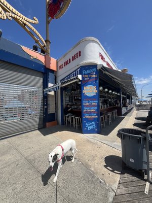 Paul's Daughter by null