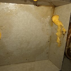 McDonald's - So much grease in quarter pounder, it puddled in box! Disgusting could not eat it.