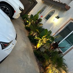 Front yard